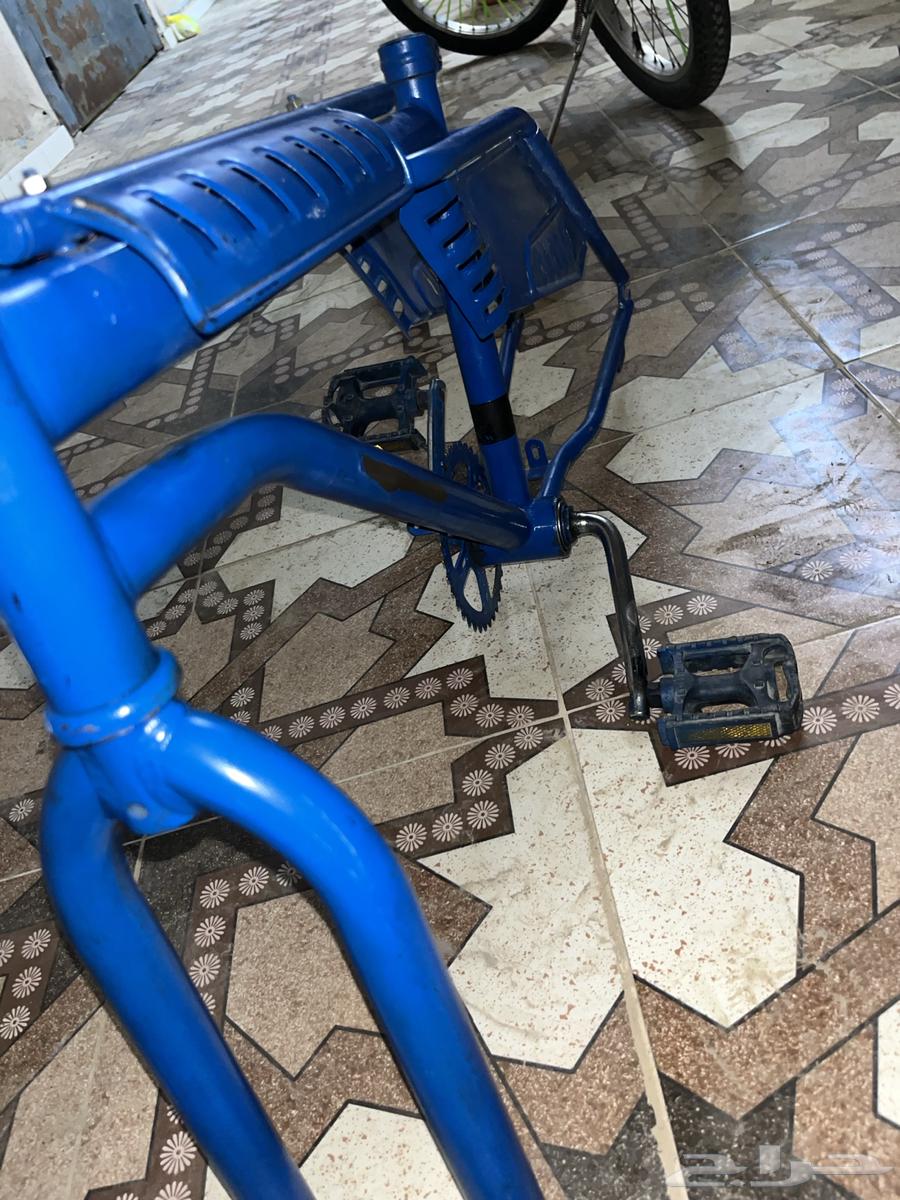 للبيع بدي سيكل ضعيف64365484685570113