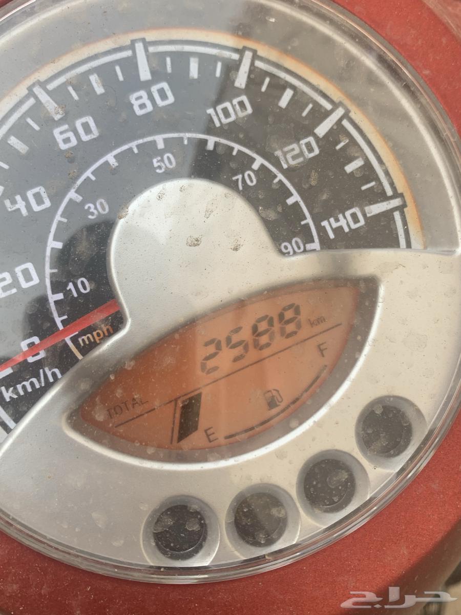 دباب فيسبا 25جديد الممشى 250064503063336321113