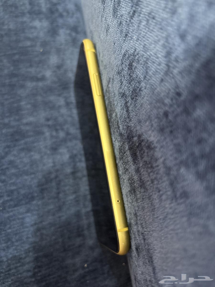 iPhone 11 regular64367726807683113