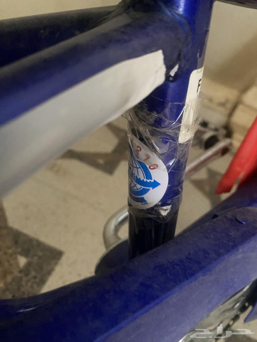 سكيل كوبرا للبيع جديد64370165597826113