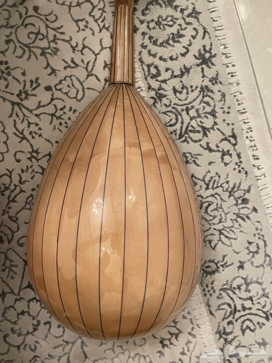 عود مصري للبيع صناعة (مجدي ابراهيم السنباطي64363219440513114