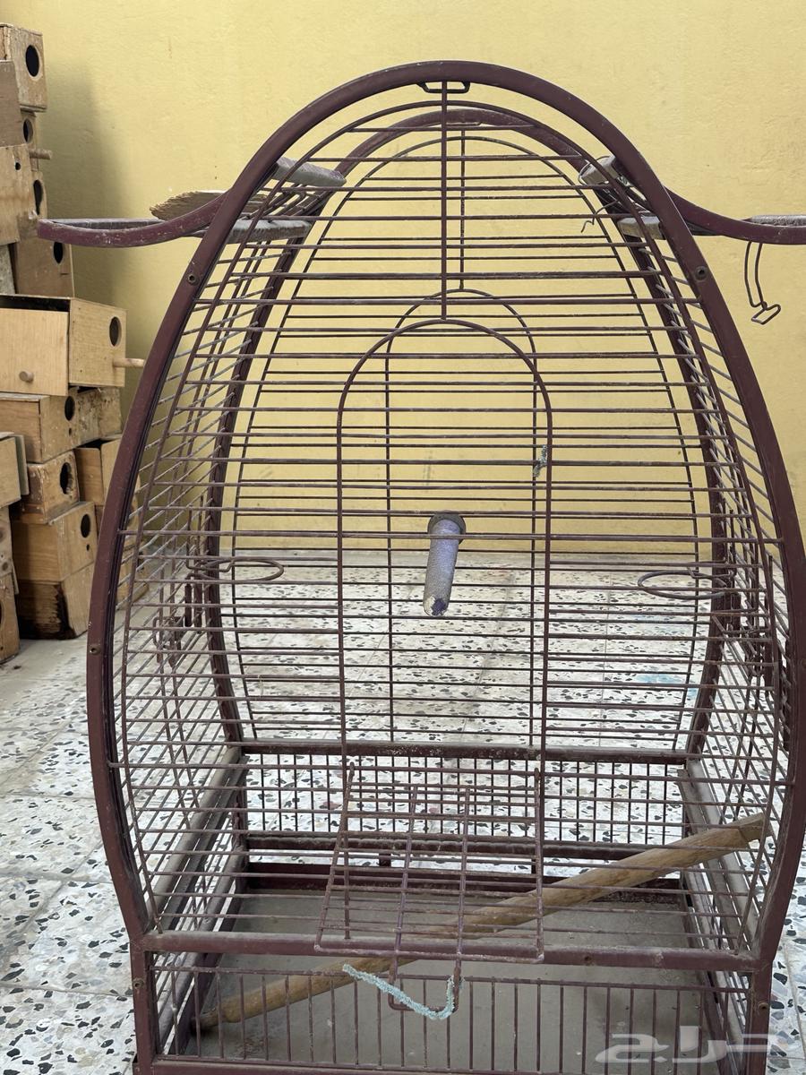 للبيع قفص كبير64372156058882111