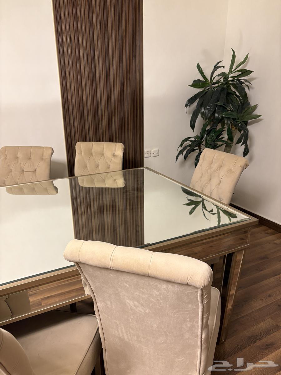 طاولة طعام 14 شخص64375543090561113