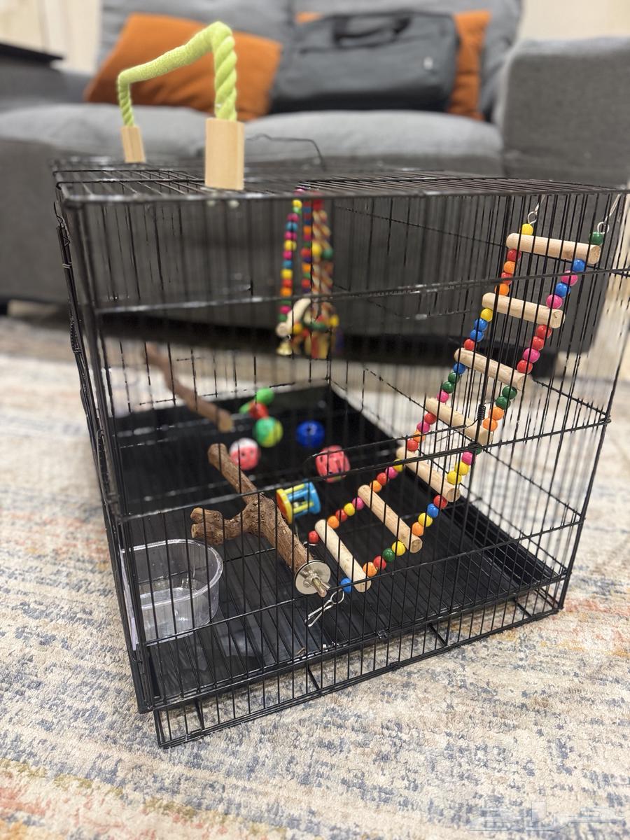 قفص ببغاء-طيور مقاس 601 لون اسود مع العاب (شبه جديد)64369761994242111