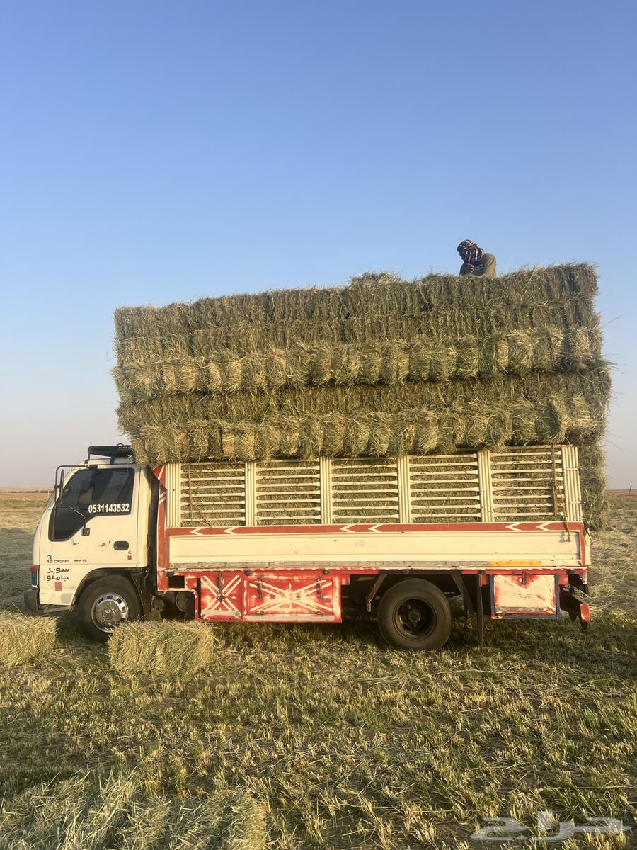 رودس صافي ناعم ورق64372346046723110