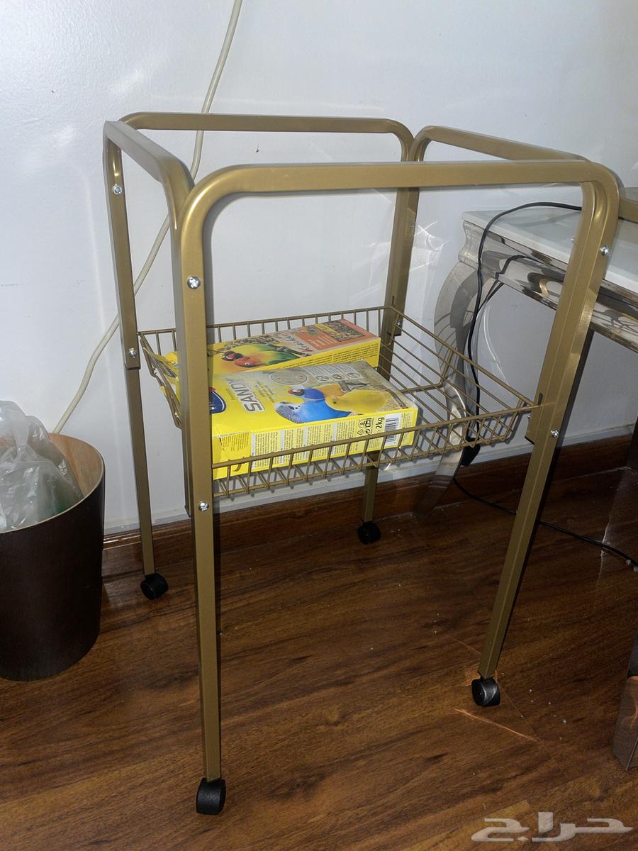 طير روز هدد اليف للتسليم الفوري64373772504195114