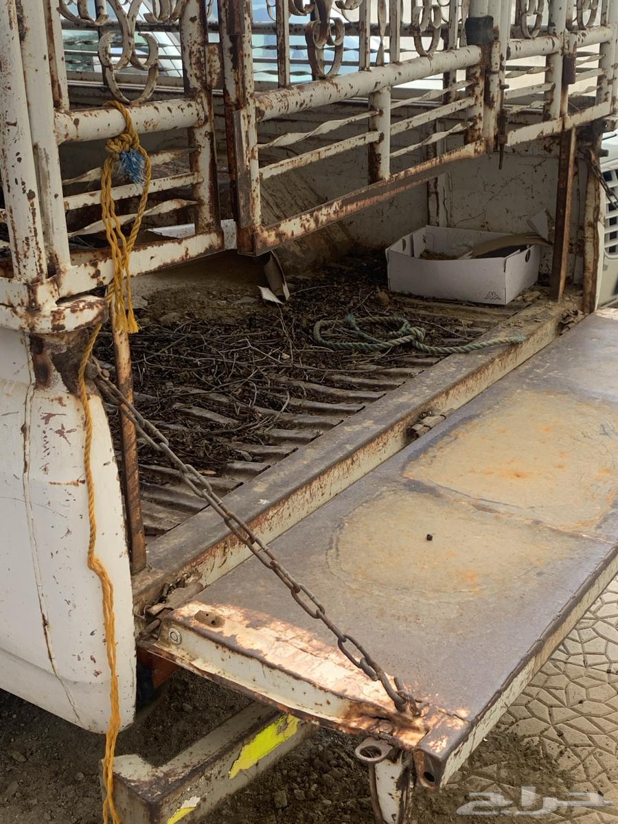 سياره جونيور نيسان غماره خمسة شنكار64512636834050114