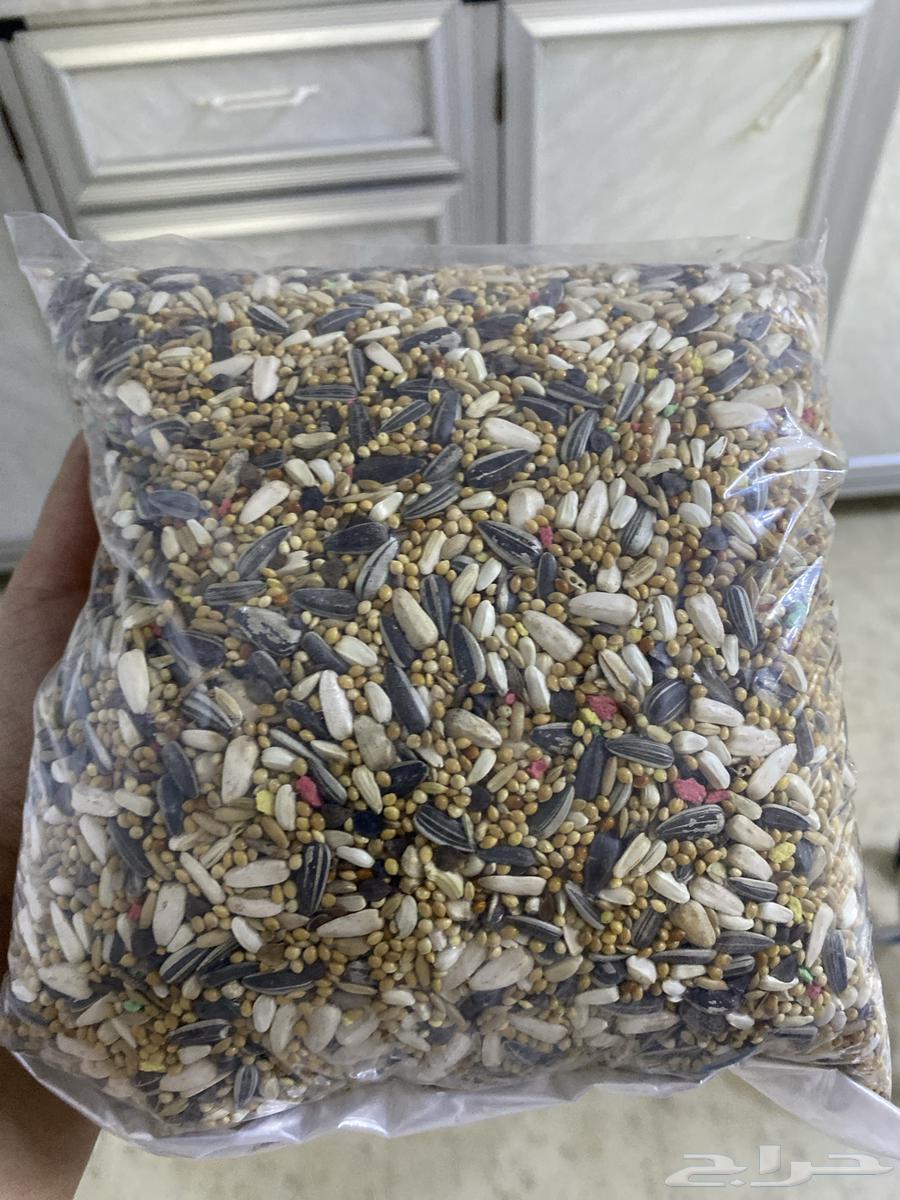 طير روز ابيض64368397555202113