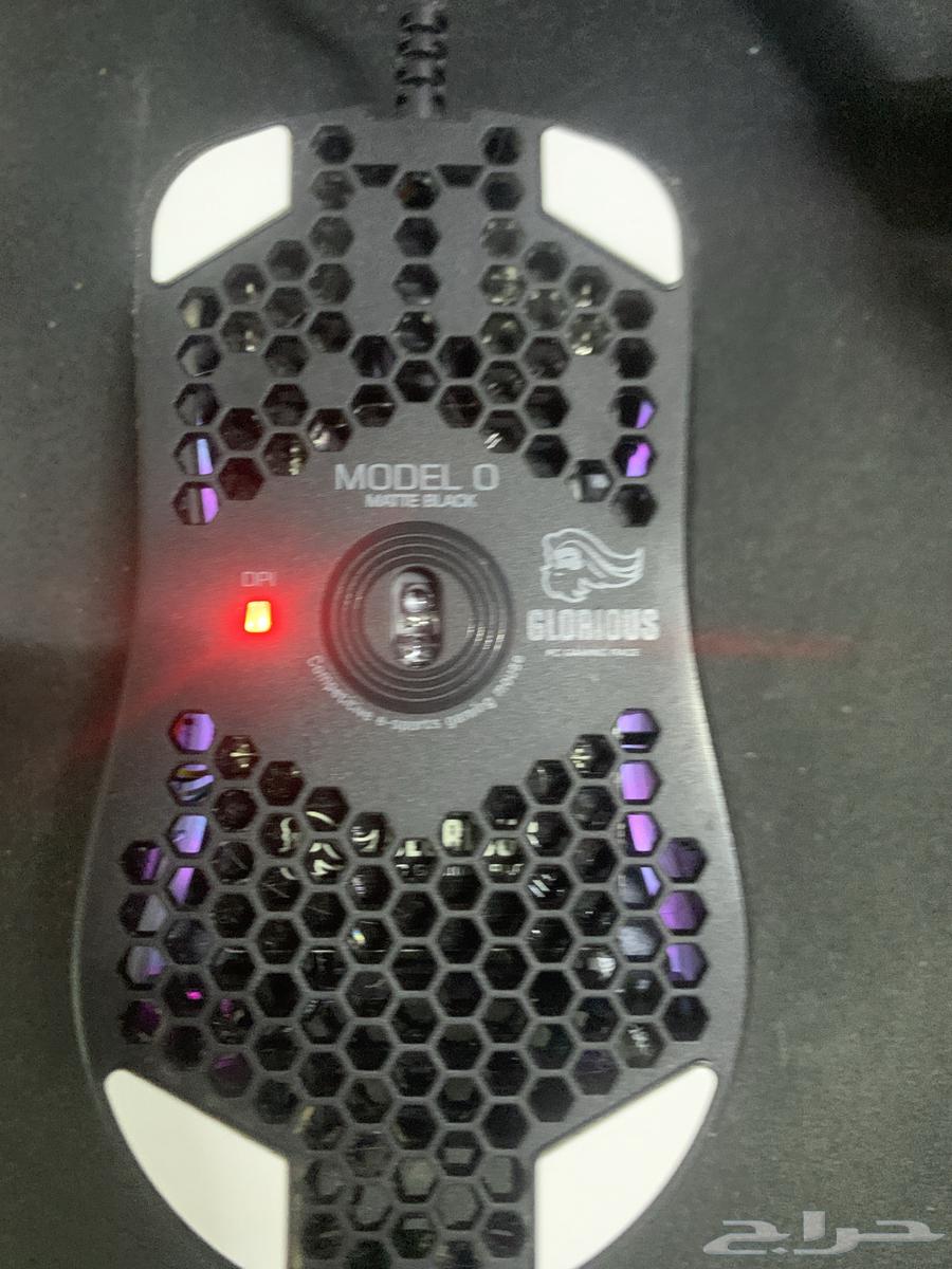 Gloris Mouse64373282693633111