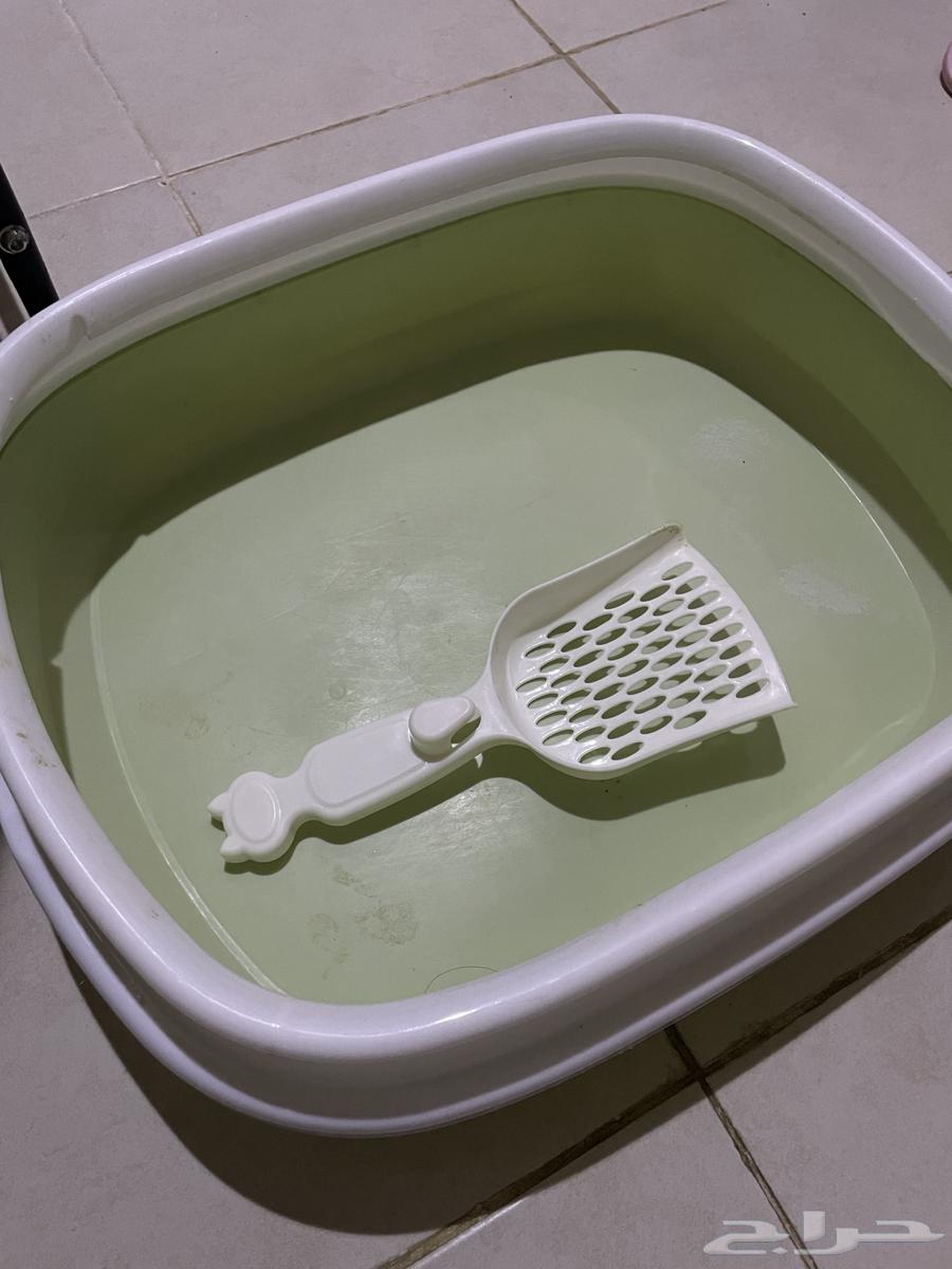 Cat items for single use only64375452818177111