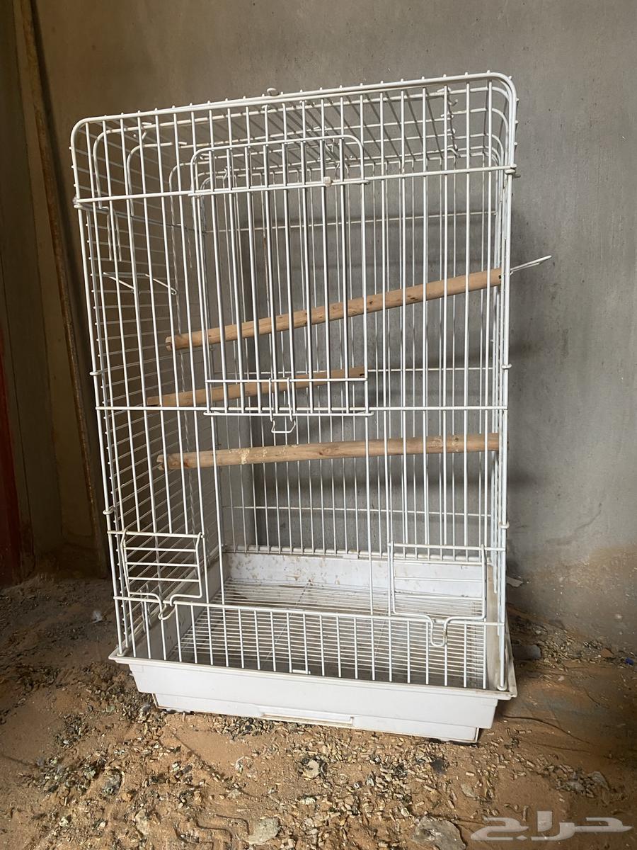 Cages for songbirds and canaries64371803563779110