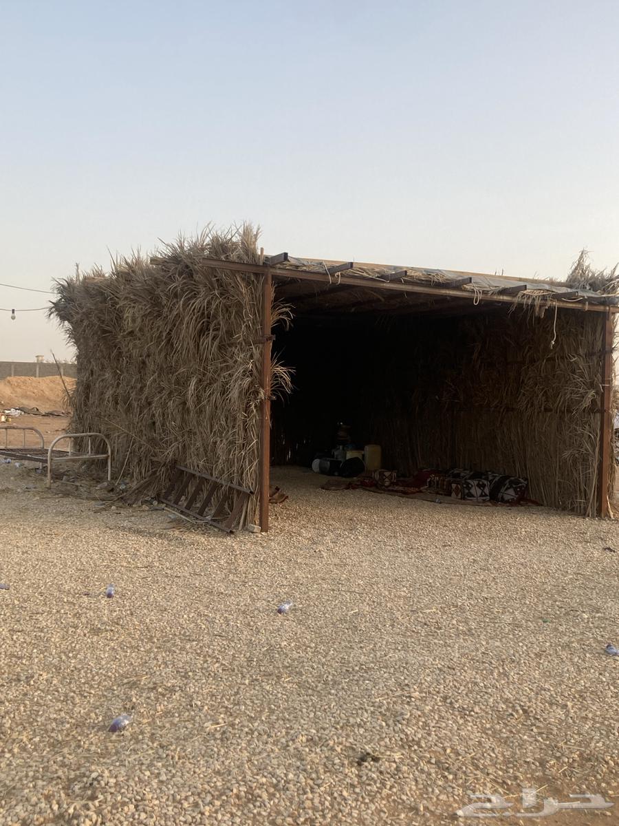 بيت شعر وخيمة وعريش للبيع64367625038977113