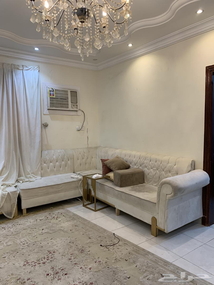 كنب 14 شخص للبيع بسعر رمزي64376930071043111