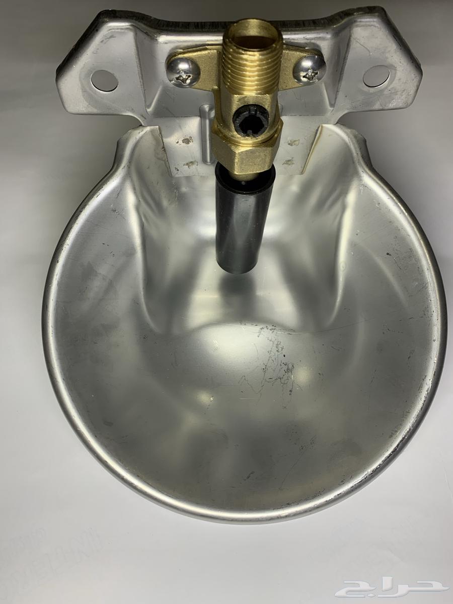 عرض اليوم الوطني مشربيات اغنام64369557336194110