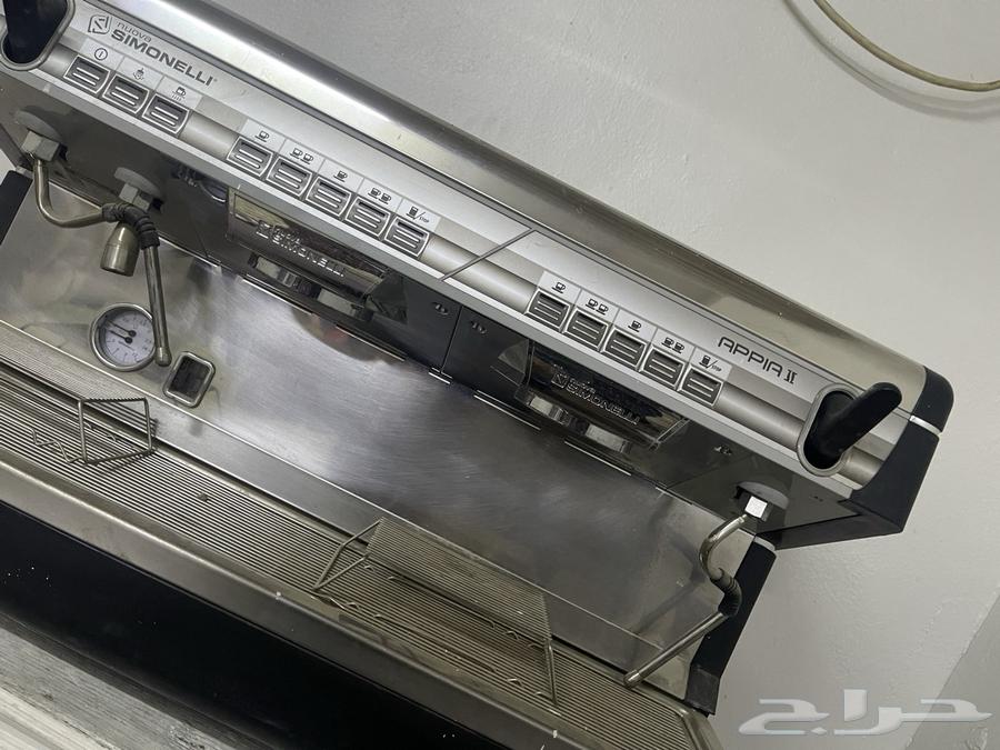 المدينة المنورة64366159968513113