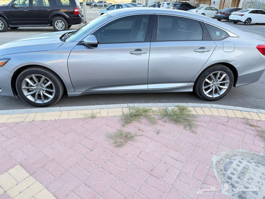 هونداء اكورد64507865988609114