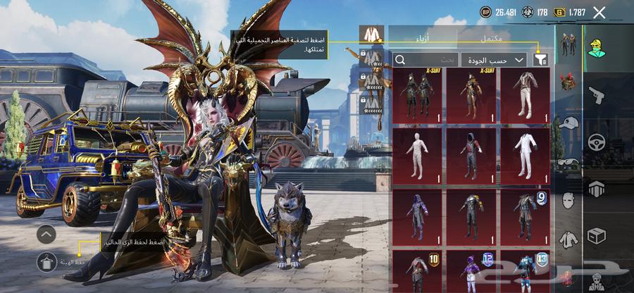 حساب ببجي للبيع المستعجل64370770399618111