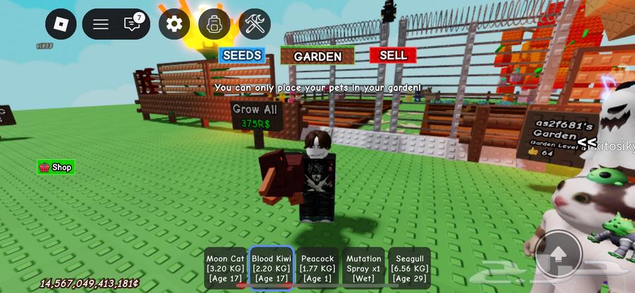 Ruble account for sale, farm map with bone blossom, block fruit map64373624897282113