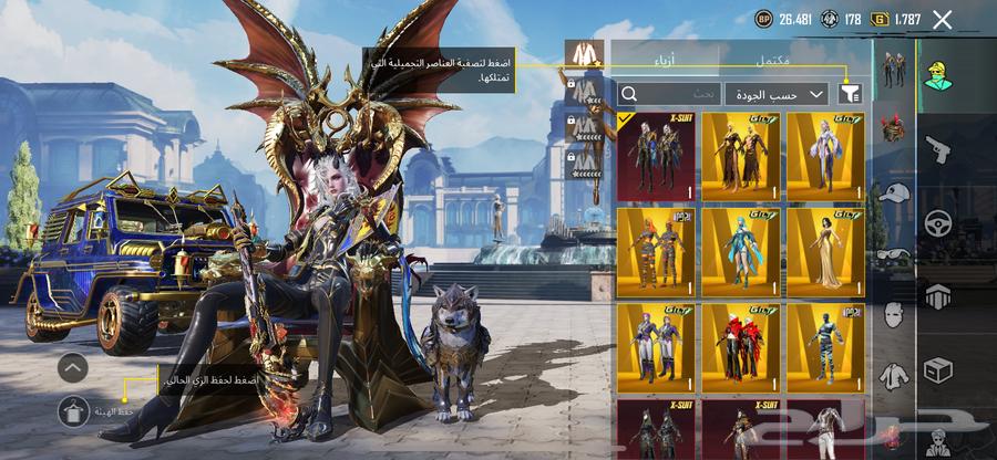 حساب ببجي للبيع المستعجل64370770399618110