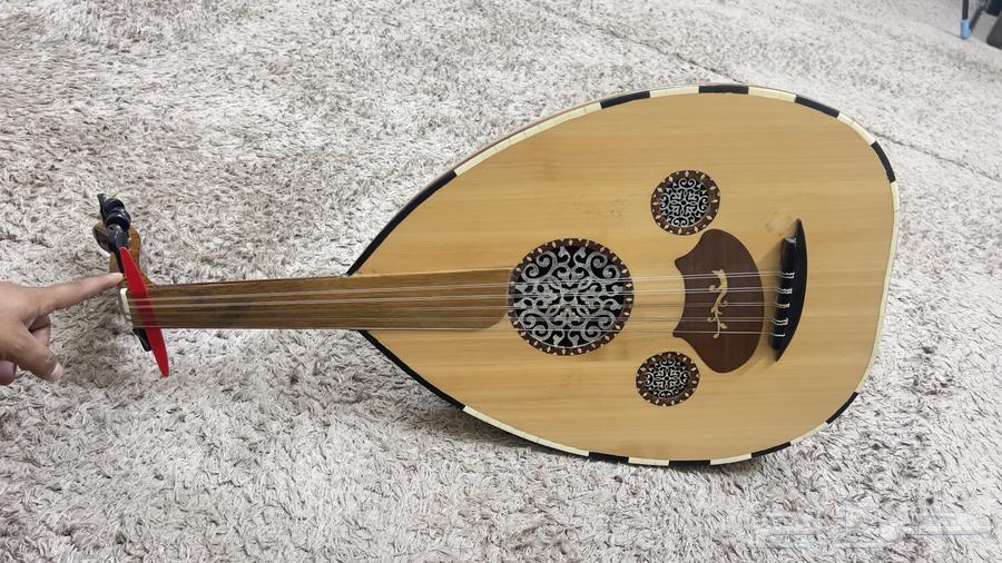 A oud I took to learn, but I don't know its new use after a week64374583621890113