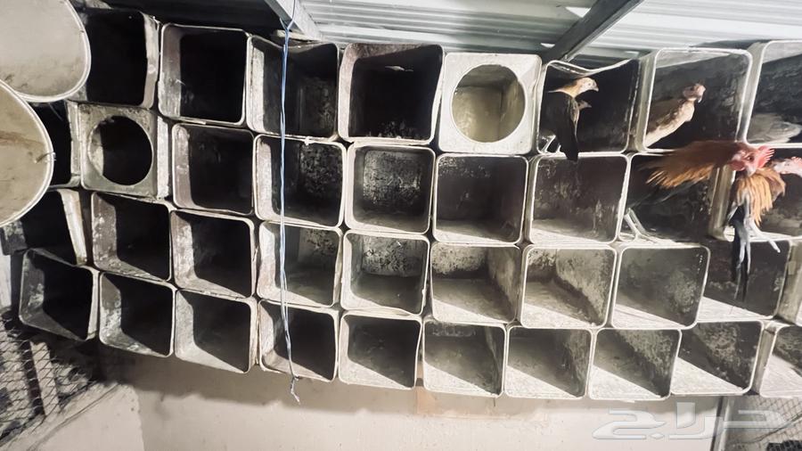 تنك للبيع في بيشة64363144453379111