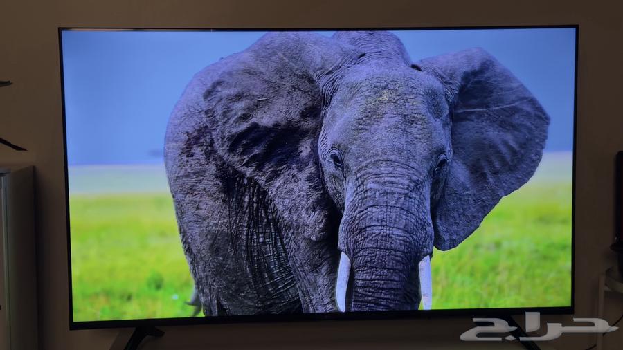 LG TV 55 inch Smart with AI Feature 4k64371569661953114