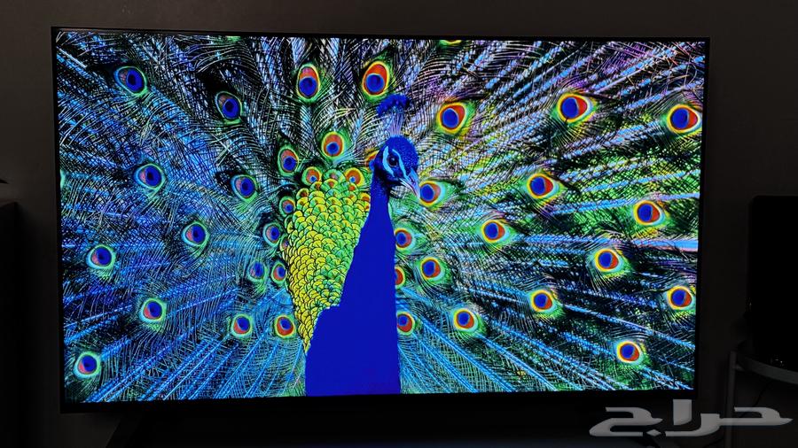 LG TV 55 inch Smart with AI Feature 4k64371569661953112