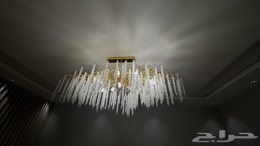 Star Tree64368762081283111