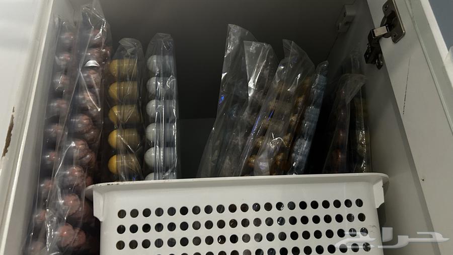 Chocolate prints64371847382274111