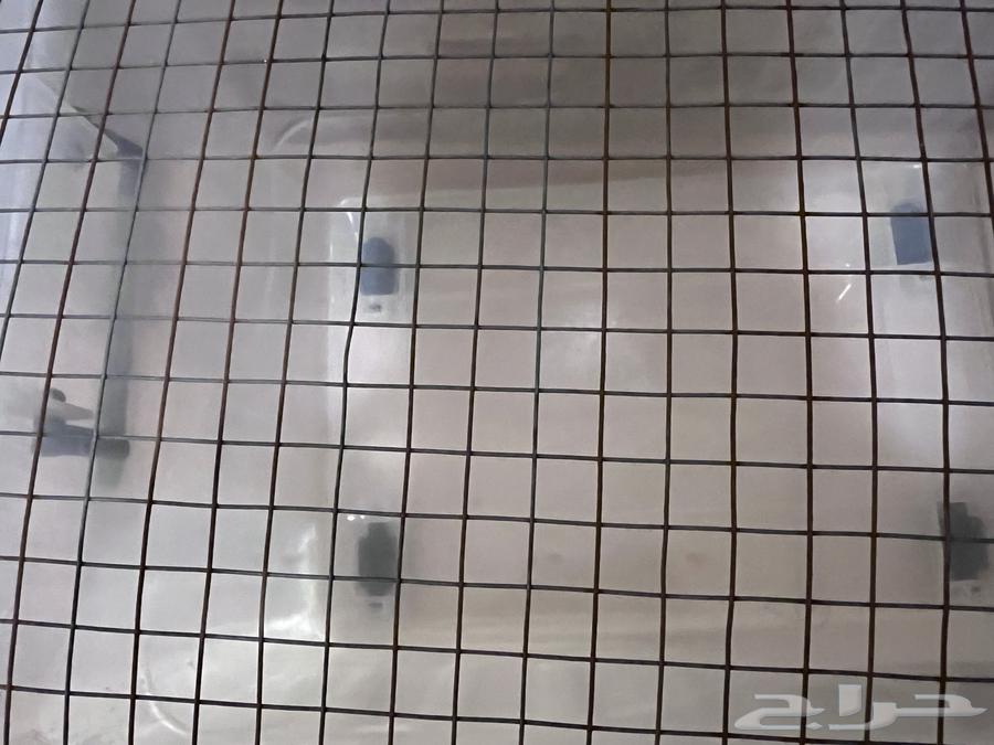 Cages64373403380226110