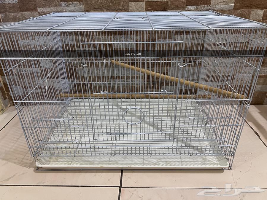 Cages64373403380226113