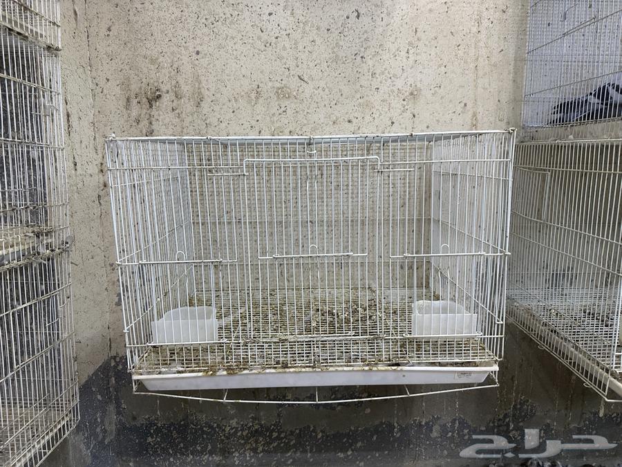 للبيع اقفاص64365085243267111