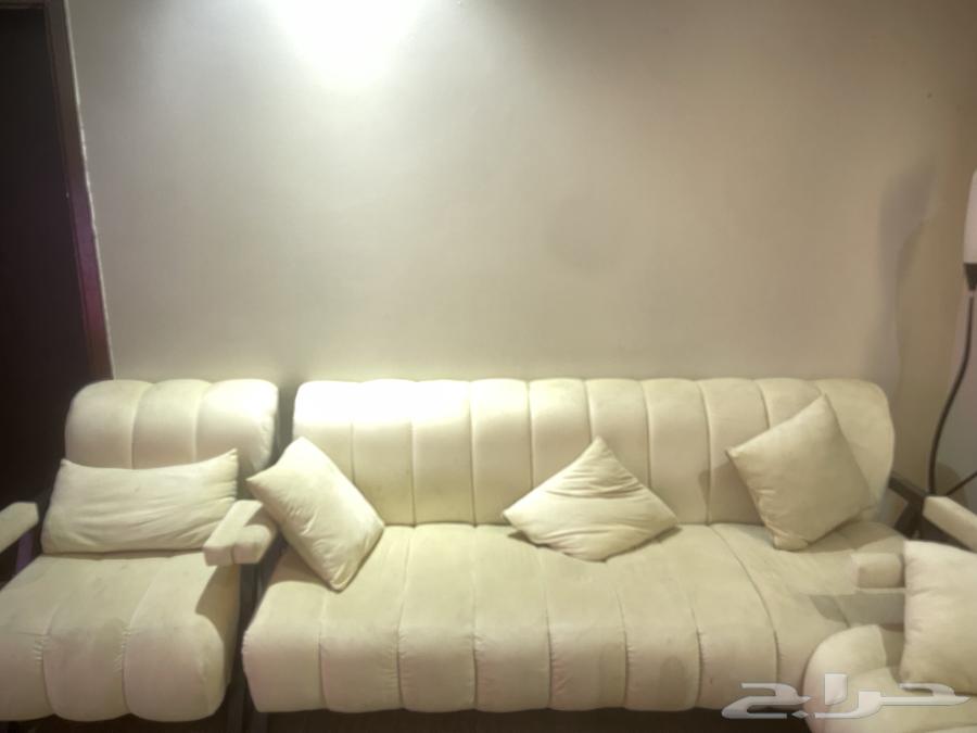 كنب 14 شخص لون افوايت يحتاج غسيل لا يوجد شقوق64368806210306111