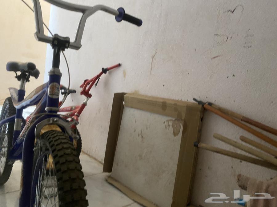 Cobra Cycle64373624987906111