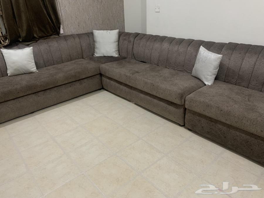 Mahmoud Said Elegant Sofa with Curtain64375022923395111