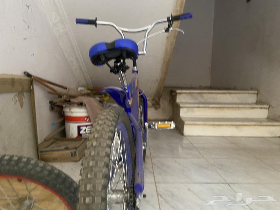 Cobra Cycle64373624987906110