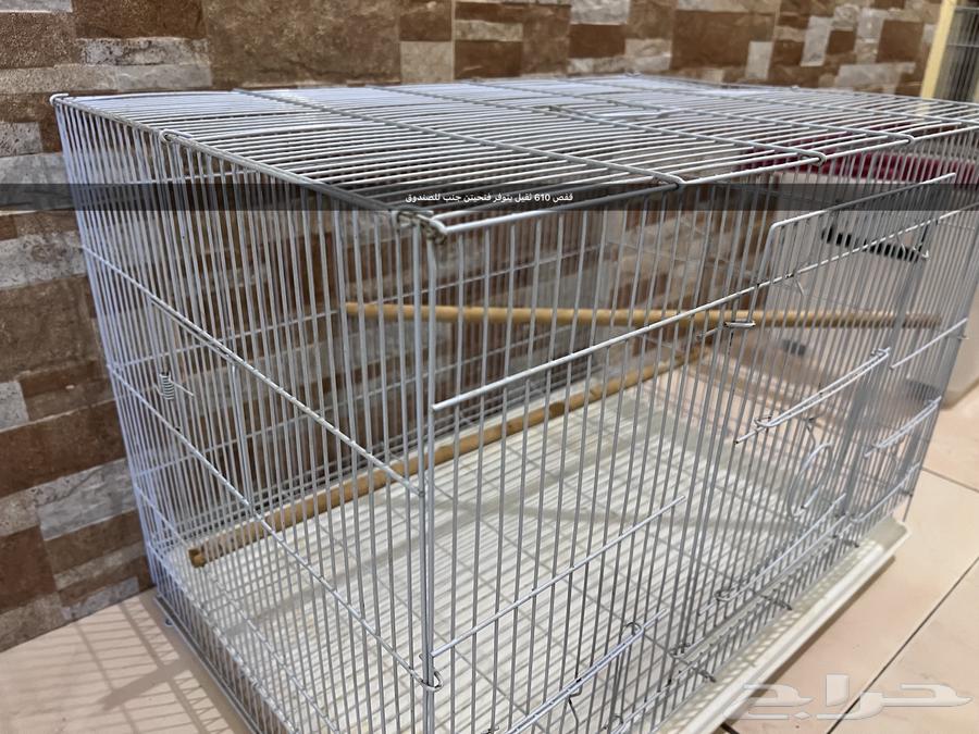 Cages64373403380226114