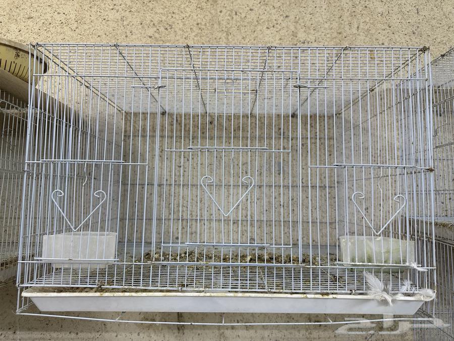 للبيع اقفاص64365085243267113