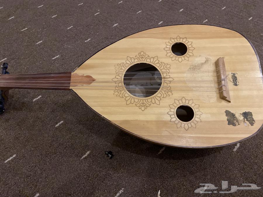 للبيع عود64368411983875112