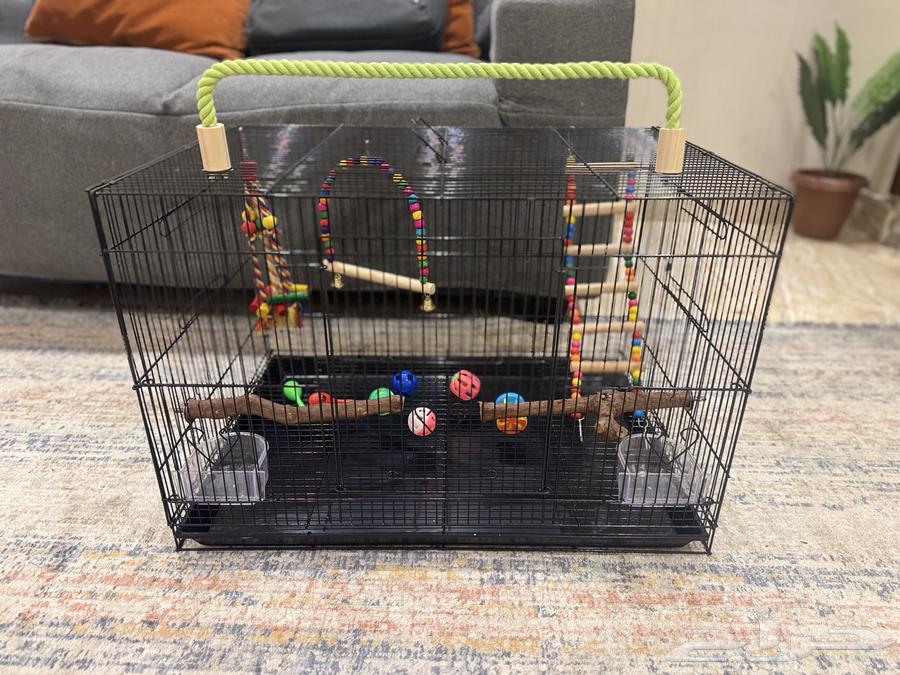 قفص ببغاء-طيور مقاس 601 لون اسود مع العاب (شبه جديد)64369761994242110