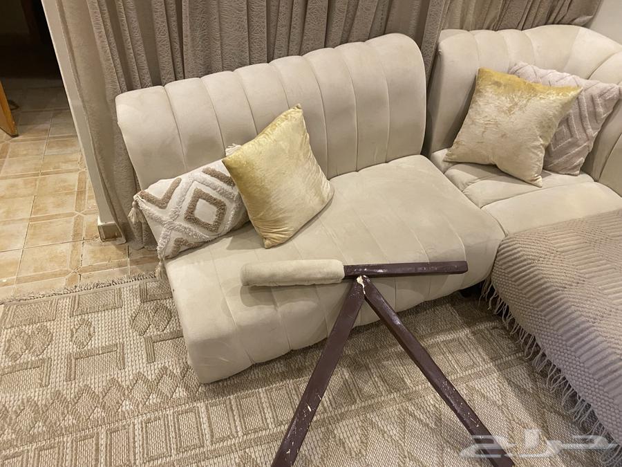 Clean sofas64366071233667114