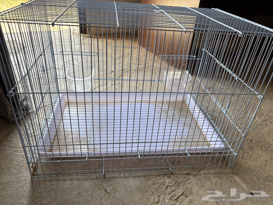 اللبيع شبك ارانب64367843579393112