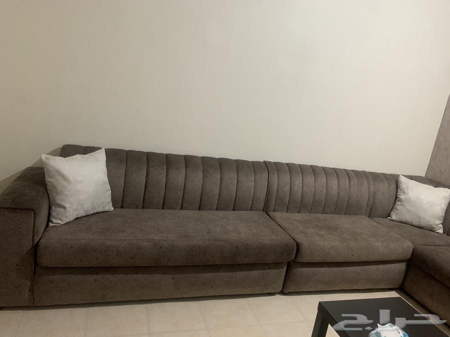 Mahmoud Said Elegant Sofa with Curtain64375022923395113