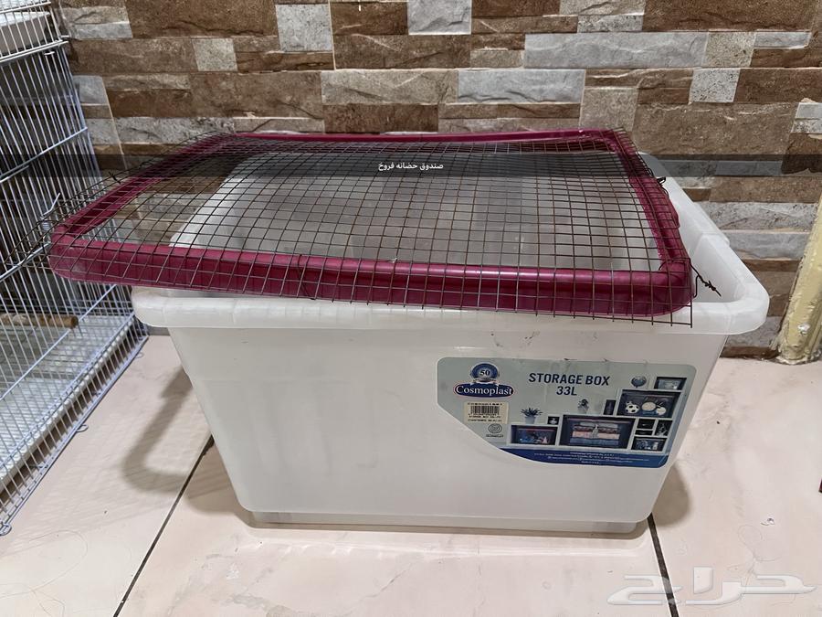 Cages64373403380226111