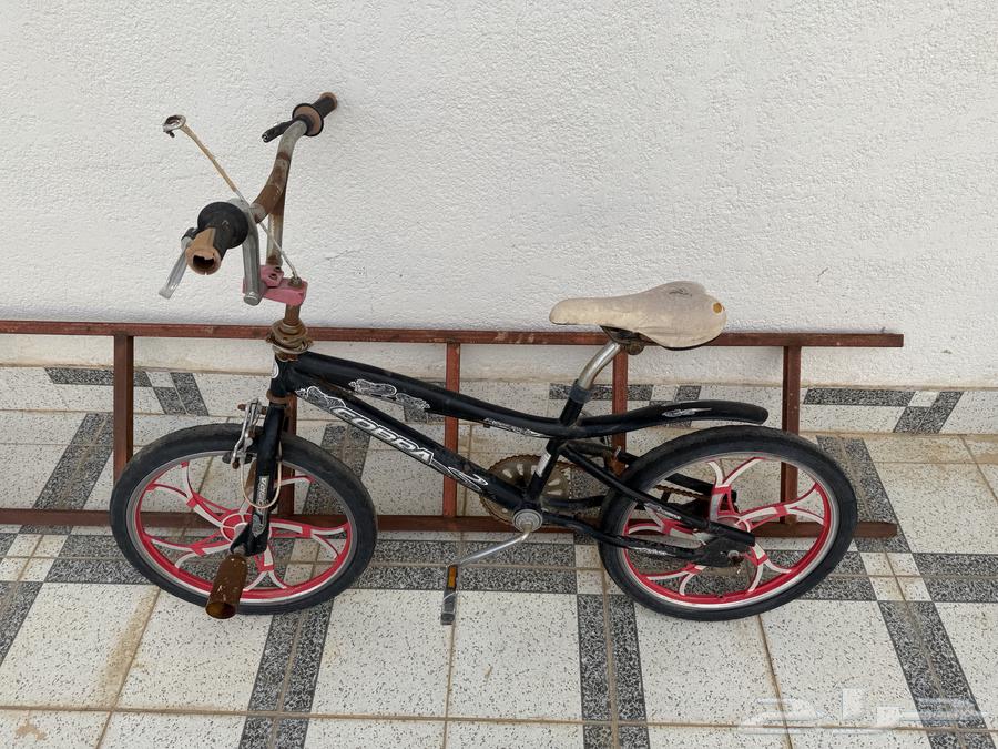 سيكل كوبرا اصلي64373742731139110