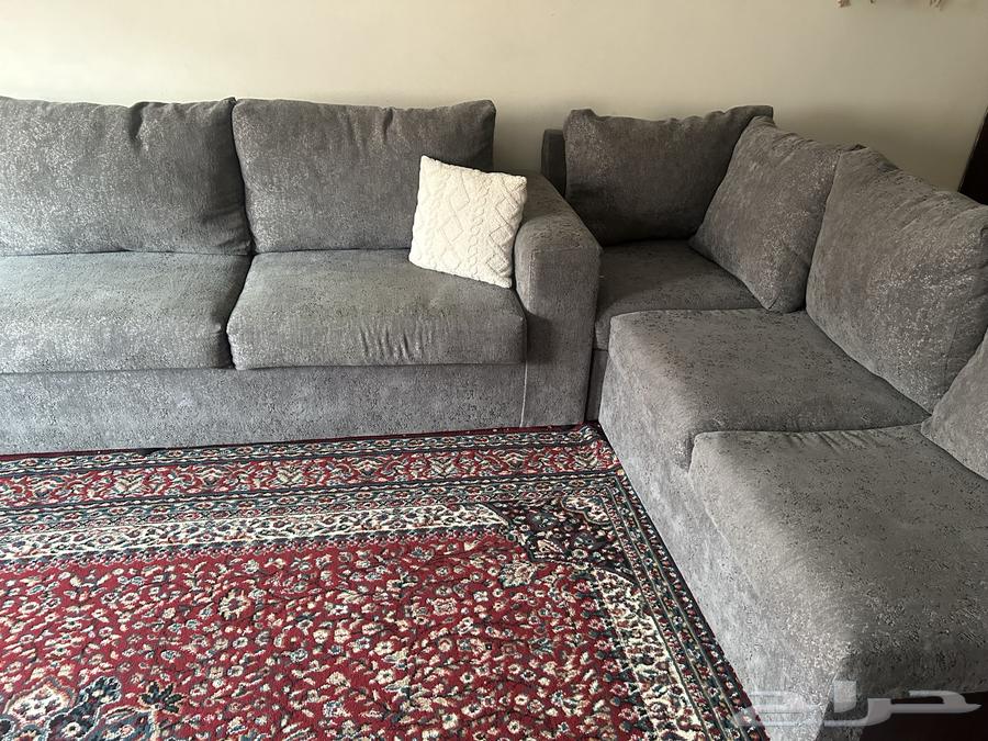 كنب العرفج جديد للبيع64376720450050112