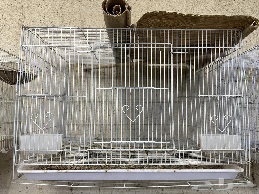 للبيع اقفاص64365085243267114