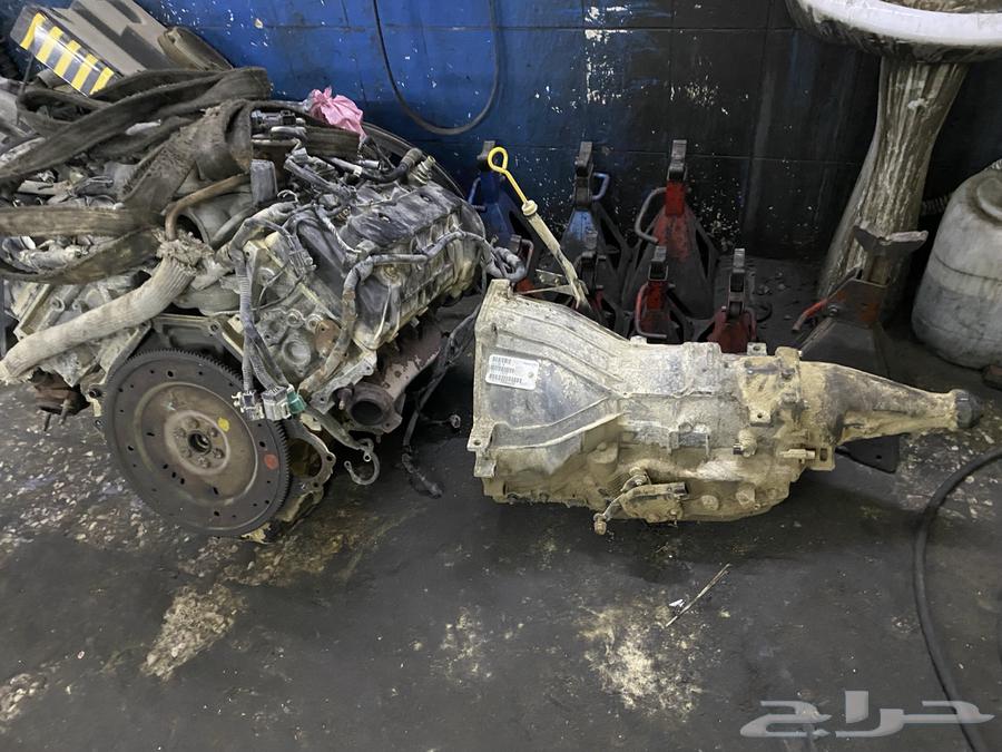 Marodar Saddam and Differnish64511464605953113