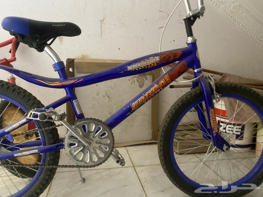 Cobra Cycle64373624987906112