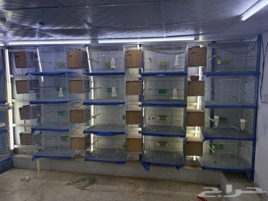 اقفاص 601 مستخدمه بحاله نظيفه64363130090755110